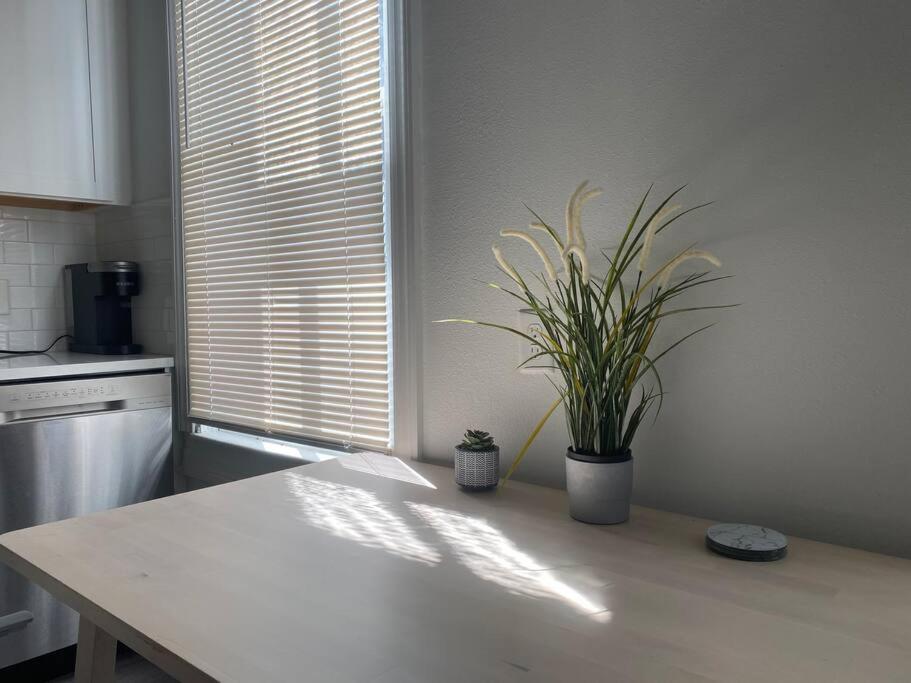 Chic Bungalow Apartment Steps From Armature Works & Downtown Riverwalk แทมปา ภายนอก รูปภาพ